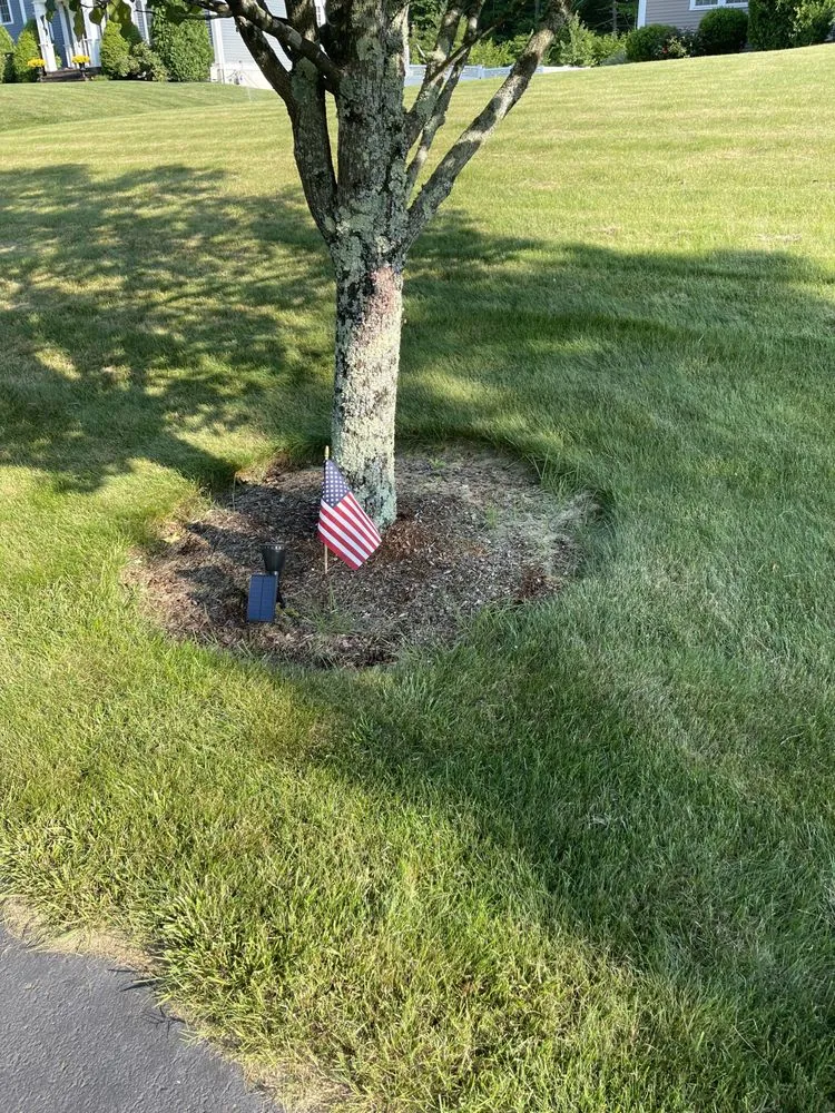 Local lawn mowing service experts serving Brockton, MA - J & M landscaping & Design