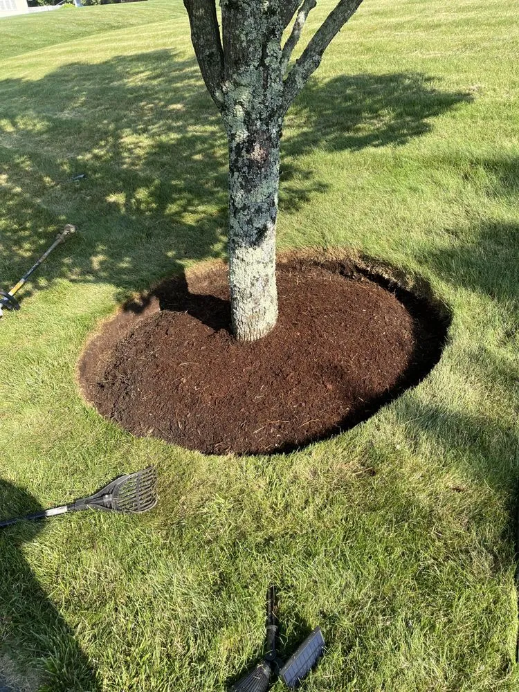 Trusted lawn care service for residential properties in Brockton, MA by J & M landscaping & Design