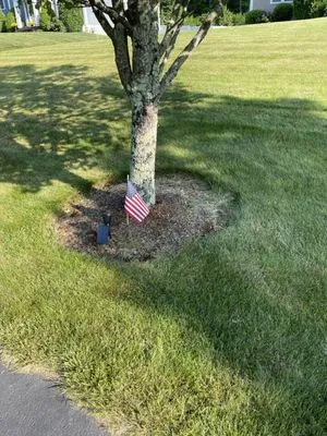 J & M landscaping & Design Logo