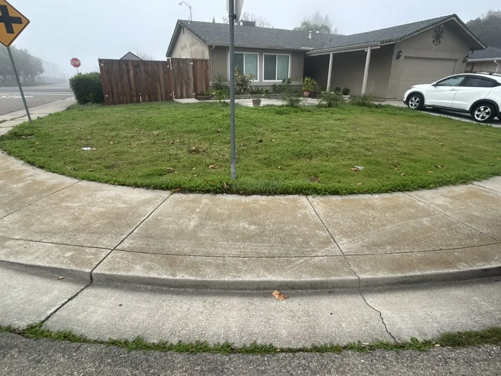 Professional yard cleanup service near you across Turlock, CA - J & M Landscaping & maintenance Services