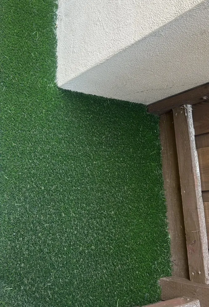 Professional lawn mowing service for beautiful yards across Turlock, CA - J & M Landscaping & maintenance Services