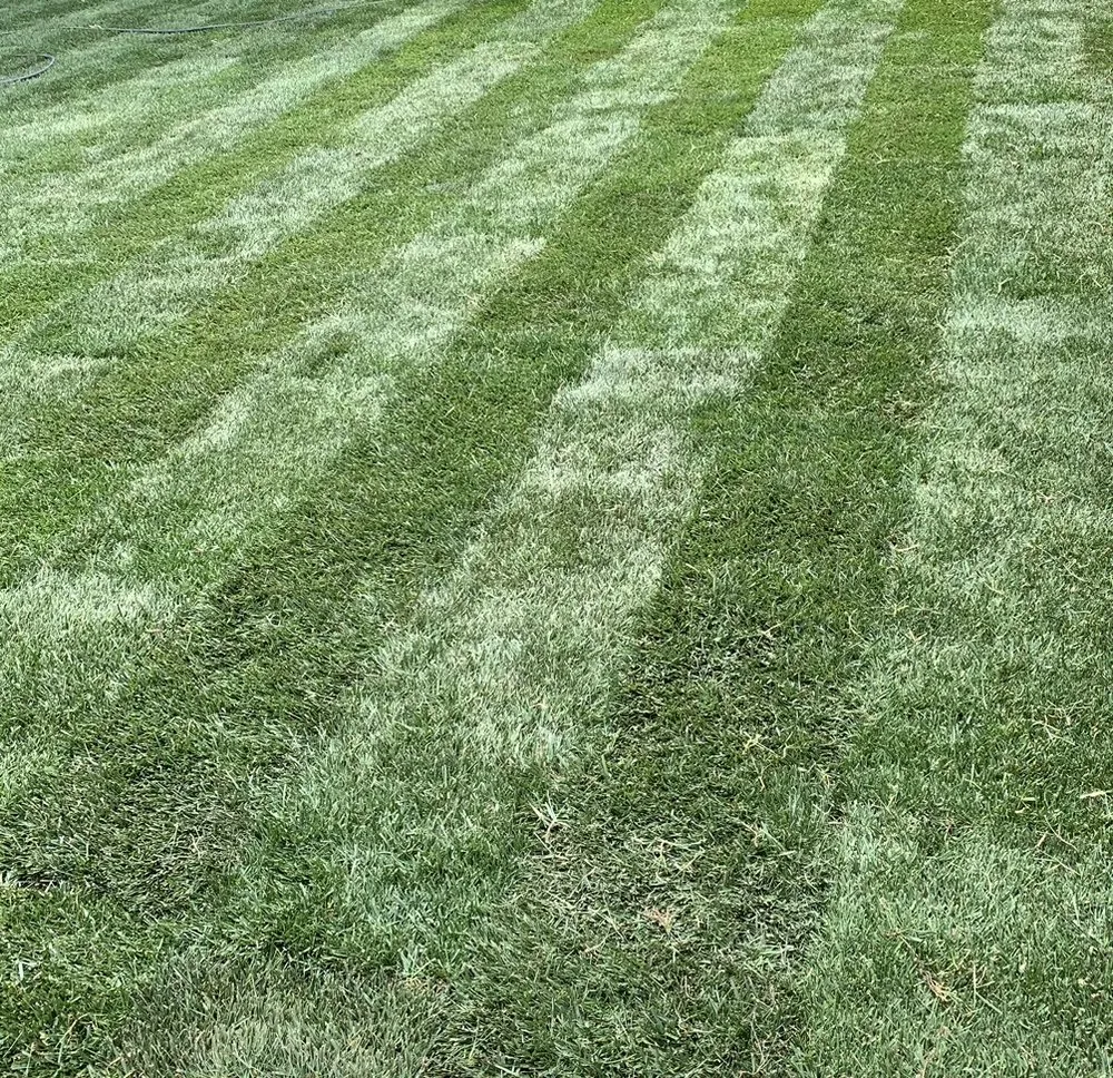 Expert residential landscaping for outdoor upgrades in Turlock, CA by J & M Landscaping & maintenance Services