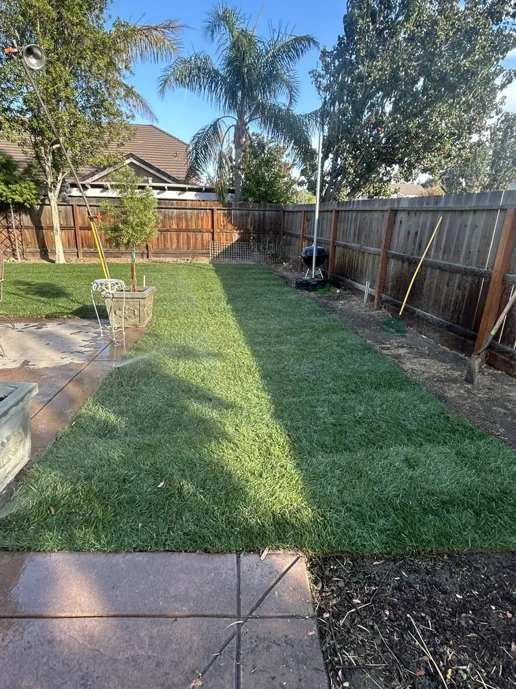 Local yard maintenance experts serving Turlock, CA - J & M Landscaping & maintenance Services