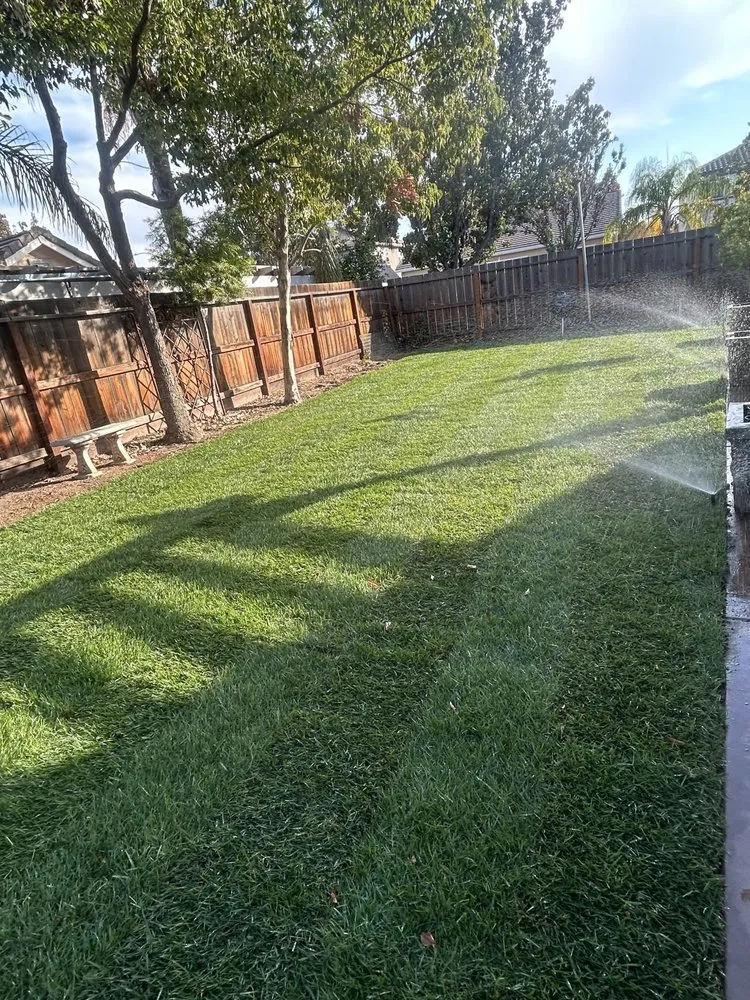 Reliable lawn mowing service experts serving Turlock, CA - J & M Landscaping & maintenance Services