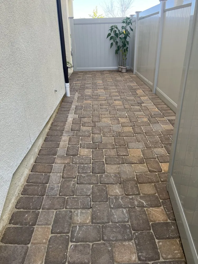 Local yard cleanup service experts serving Escondido, CA - J & M Landscaping & Tree Service