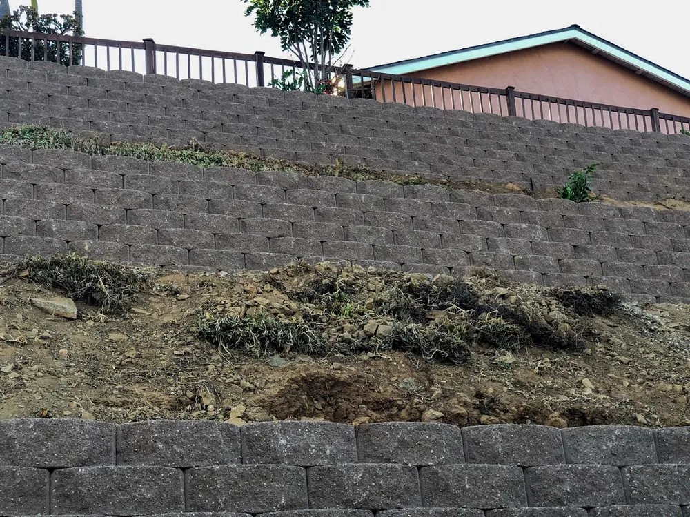 Trusted yard cleanup service for outdoor upgrades in Escondido, CA by J & M Landscaping & Tree Service