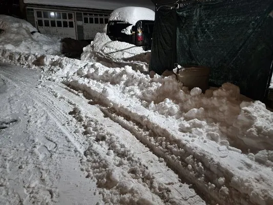 J & M Landscaping Logo