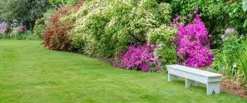 Custom yard cleanup service near you across Centreville, VA - J & M Landscaping