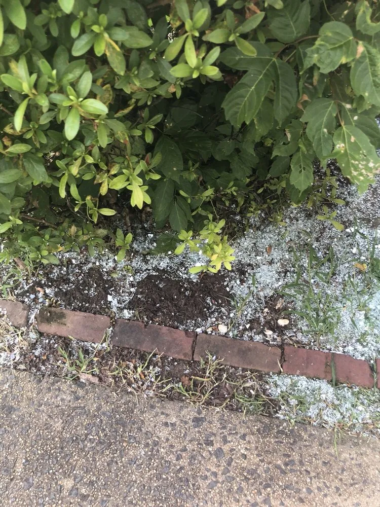 Custom yard cleanup service in Centreville, VA by J & M Landscaping