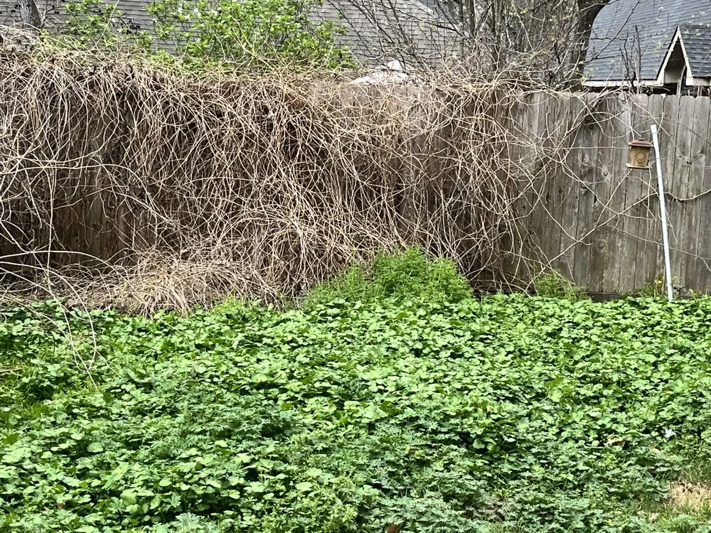 Local residential landscaping in Conroe, TX - J & M Landscaping