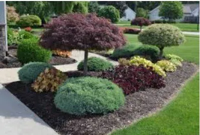 Custom lawn care service in Lancaster, PA - J & M Landscaping