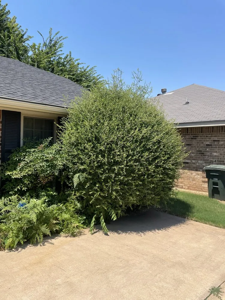 Reliable lawn care service for year-round maintenance in Oklahoma City, OK by J & M Landscaping