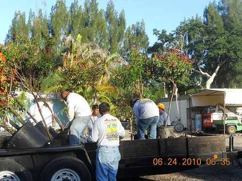 Trusted landscaping services for beautiful yards across Stuart, FL - J & M Landscaping