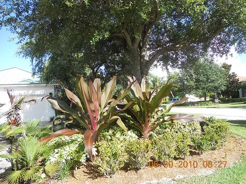 Expert lawn care service in Stuart, FL by J & M Landscaping