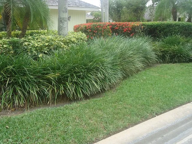 Expert lawn care service experts serving Stuart, FL - J & M Landscaping