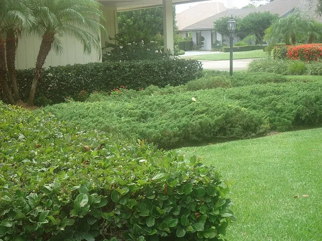 Expert garden landscaping in Stuart, FL by J & M Landscaping