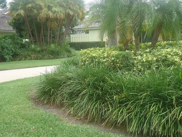 Trusted yard maintenance in Stuart, FL - J & M Landscaping
