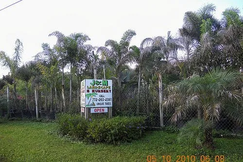 Custom lawn care service for residential properties in Stuart, FL by J & M Landscaping