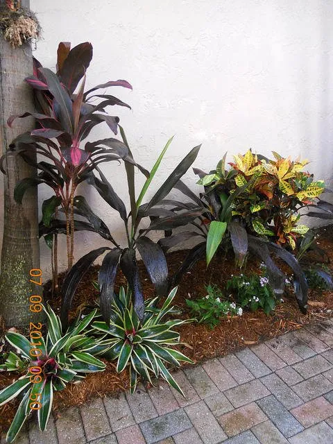 Affordable landscaping services experts serving Stuart, FL - J & M Landscaping