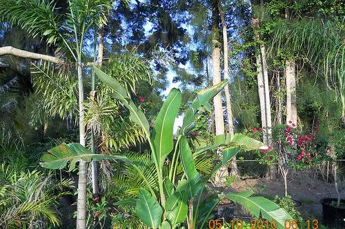 Reliable landscaping services experts serving Stuart, FL - J & M Landscaping