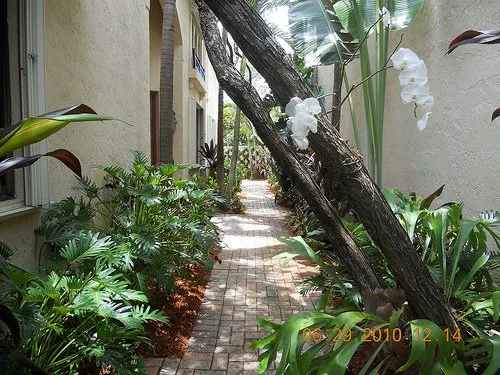 Local landscape design for residential properties in Stuart, FL by J & M Landscaping
