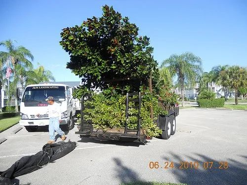 Custom yard cleanup service experts serving Stuart, FL - J & M Landscaping