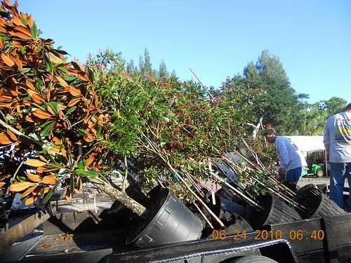 Custom outdoor landscaping in Stuart, FL - J & M Landscaping