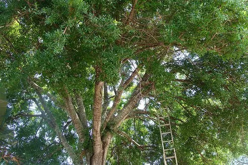 Expert outdoor landscaping with custom design in Stuart, FL by J & M Landscaping