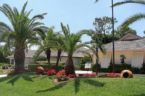 J & M Landscaping Logo