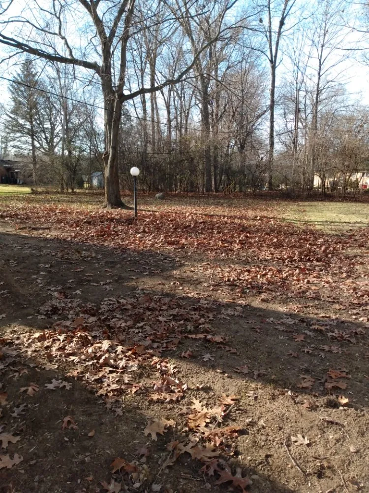 Expert lawn care service for homes across Pontiac, MI - J & M Lawn Care and Snow Removal