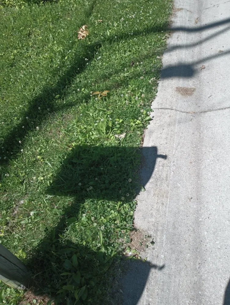 Affordable residential landscaping experts serving Pontiac, MI - J & M Lawn Care and Snow Removal