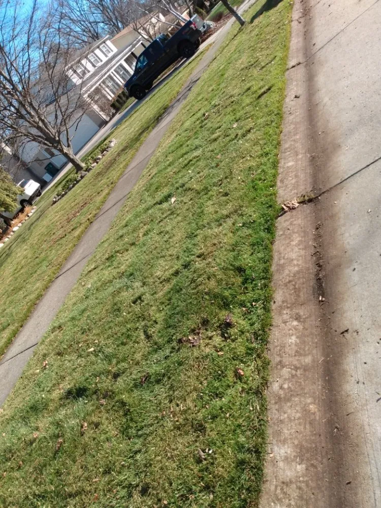 Expert yard maintenance in Pontiac, MI - J & M Lawn Care and Snow Removal