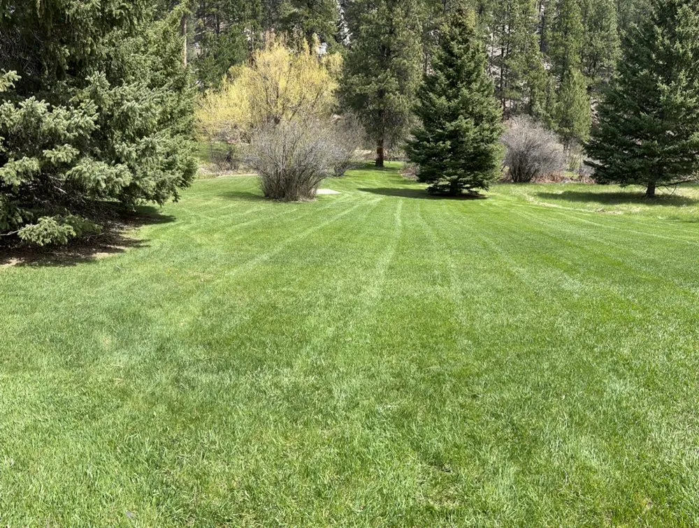 Affordable lawn mowing service experts serving Custer, SD - J & M Lawn Care