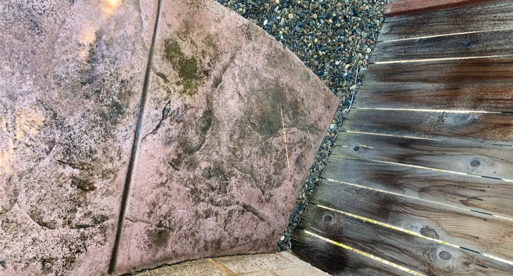 Expert outdoor landscaping in Elk Grove, CA by J & M Outdoor Services Plus