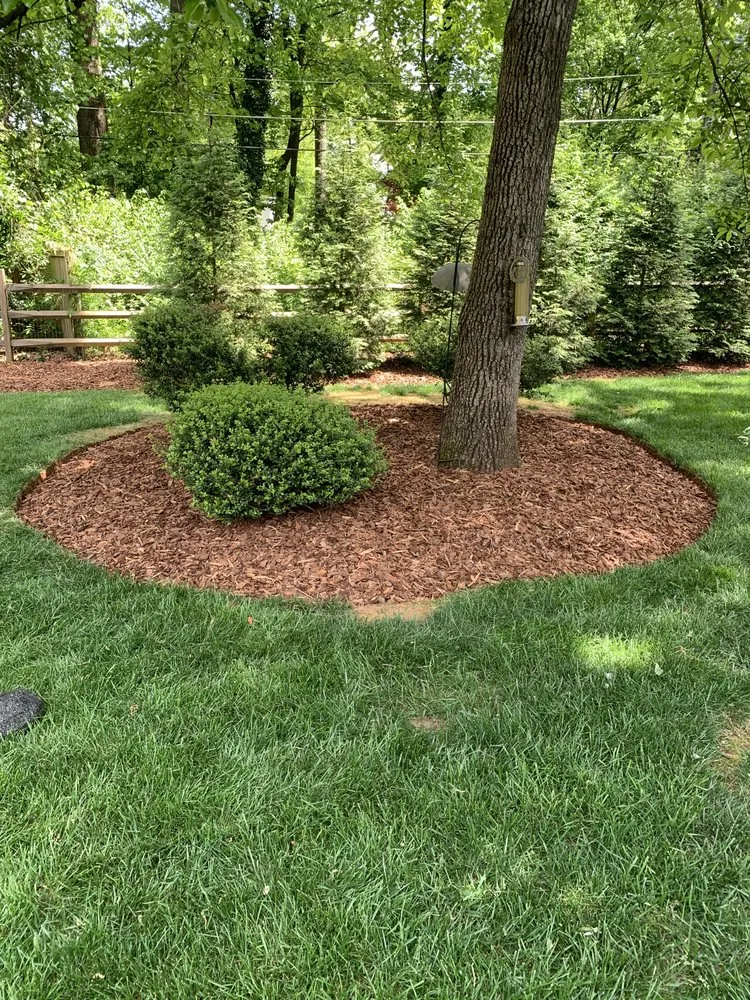 Top-rated yard cleanup service experts serving Reidsville, NC - J & M Property Enhancement