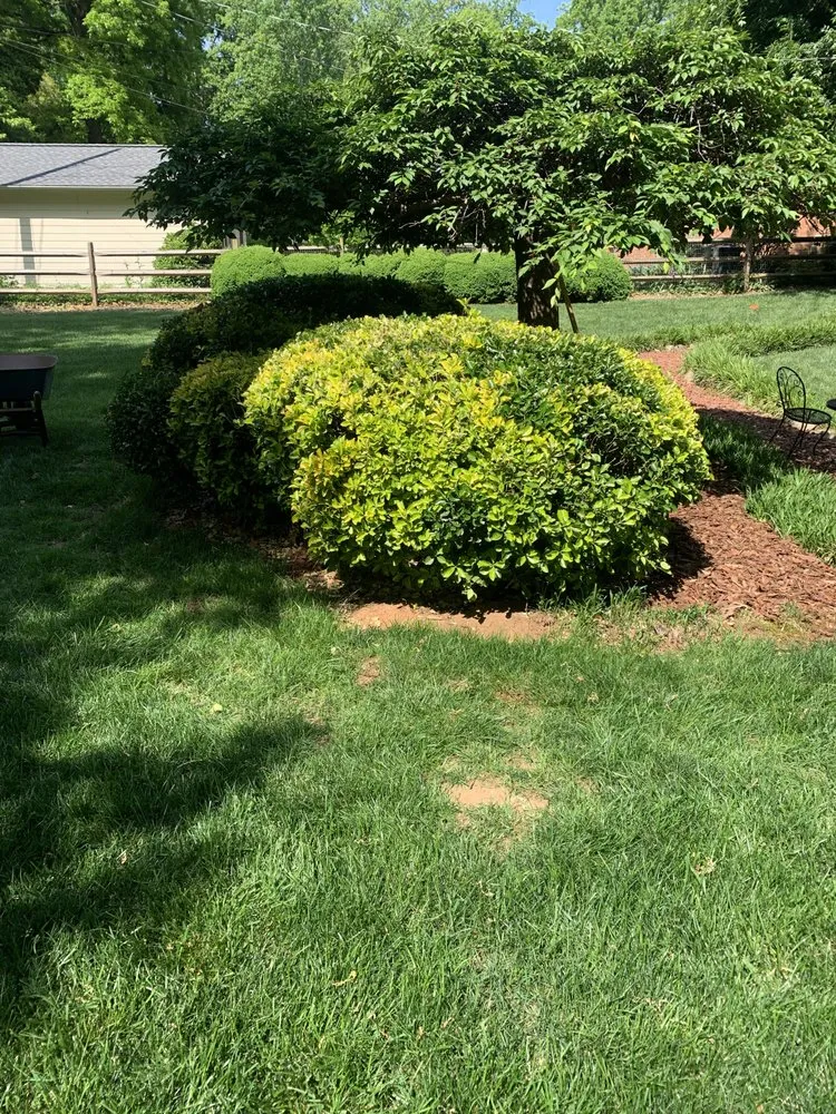 Local outdoor landscaping in Reidsville, NC - J & M Property Enhancement