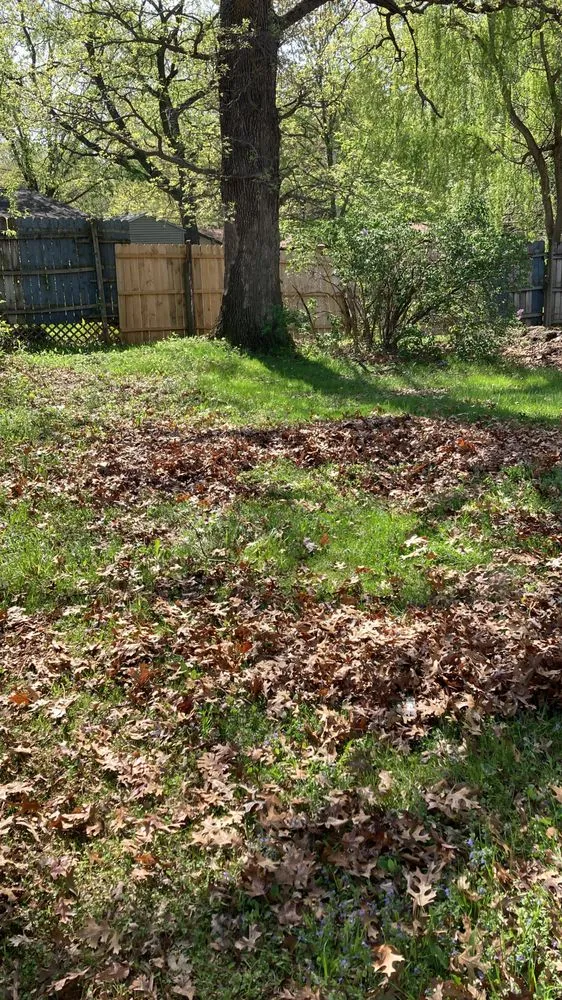 Top-rated yard maintenance in Waterloo, IA by J & M Property Maintenance