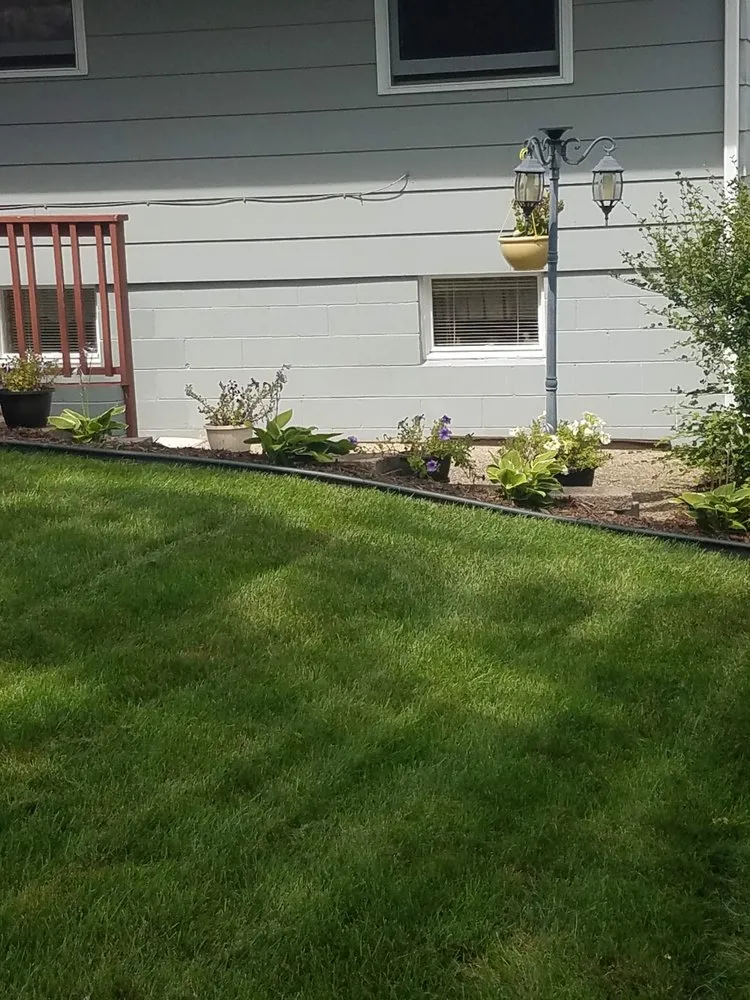 Professional yard cleanup service experts serving Glencoe, MN - J & M Property Preservation