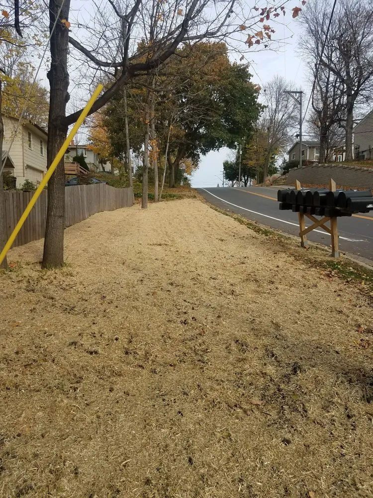 Professional lawn mowing service for residential properties across Glencoe, MN - J & M Property Preservation