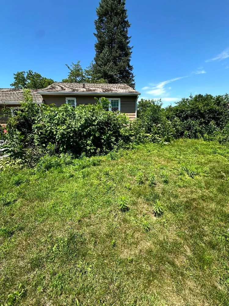 Trusted landscaping services experts serving Monroe, NY - J & M Property Solutions