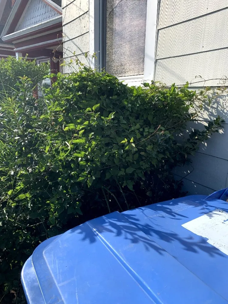 Trusted residential landscaping for beautiful yards in Monroe, NY by J & M Property Solutions