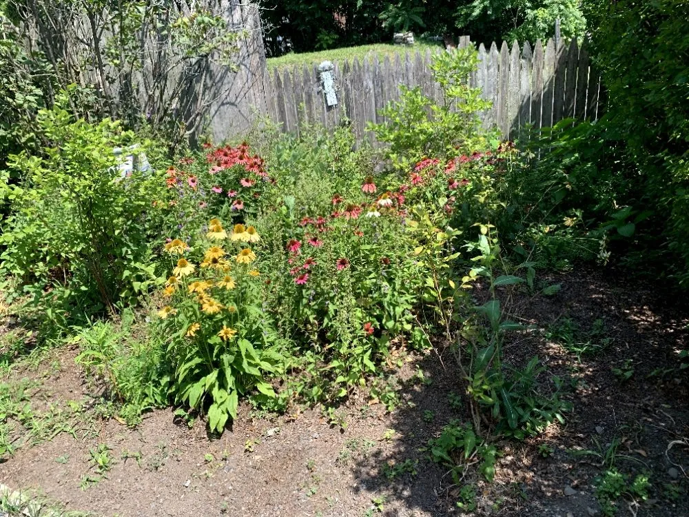 Top-rated yard maintenance for outdoor upgrades across Monroe, NY - J & M Property Solutions