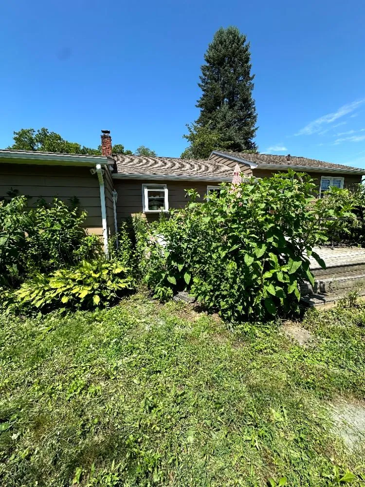 Local lawn care service in Monroe, NY by J & M Property Solutions