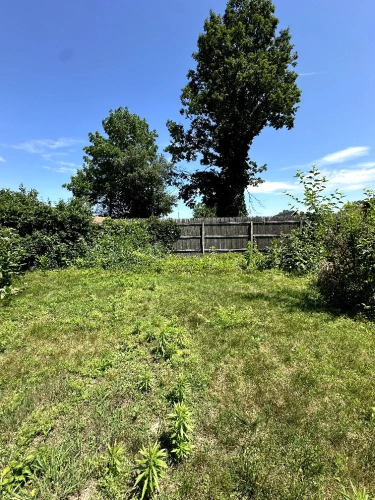 Professional landscape design experts serving Monroe, NY - J & M Property Solutions