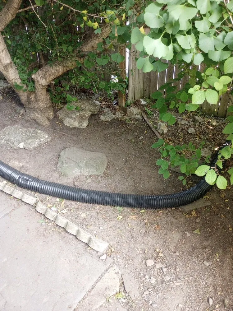 Custom yard maintenance for residential properties across Monroe, NY - J & M Property Solutions