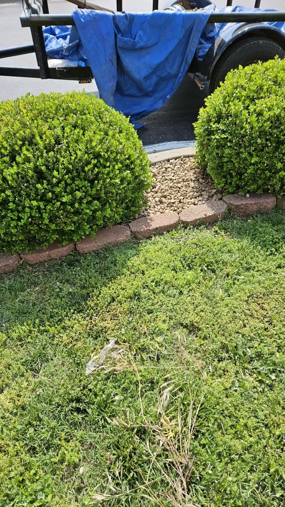 Reliable lawn care service for residential properties in Springfield, MO by J & M Service