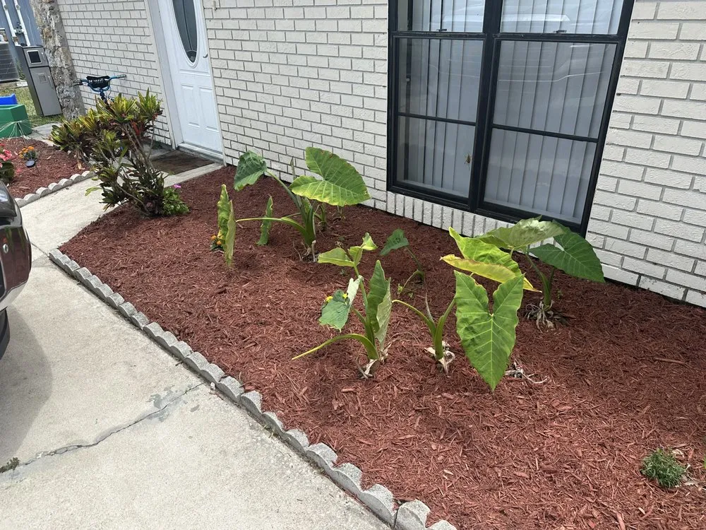 Local residential landscaping in Edgewater, FL by J & M Southern Construction