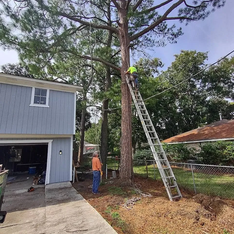 Professional yard maintenance for year-round maintenance in San Leon, TX by J & M Tree Service