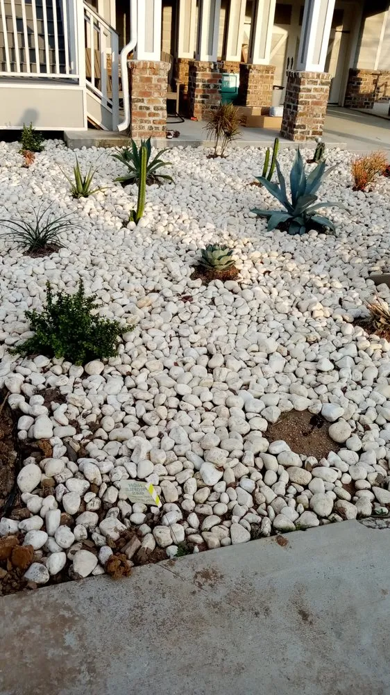 Professional landscape design in San Leon, TX by J & M Tree Service