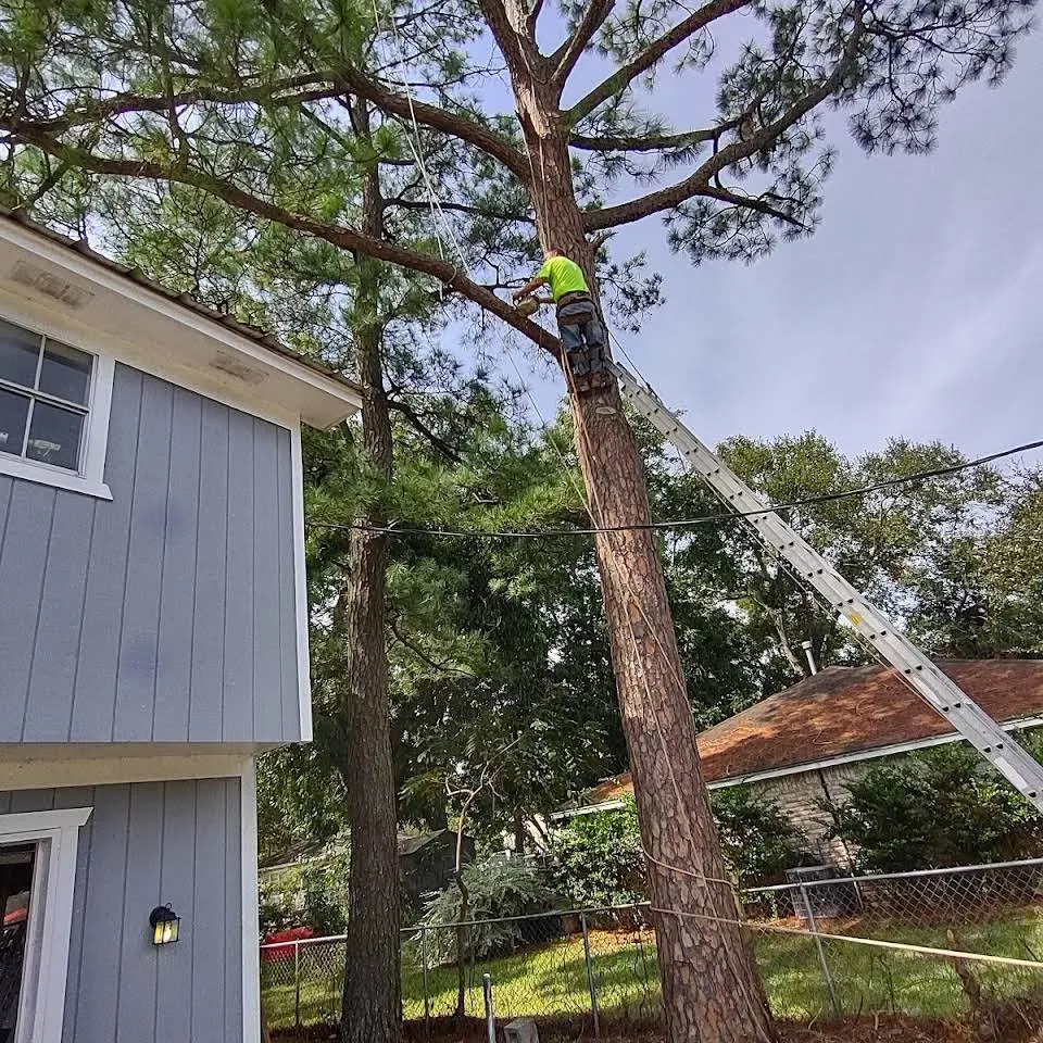 Reliable yard maintenance experts serving San Leon, TX - J & M Tree Service